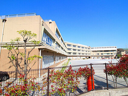 川崎市立橘小学校 1050ｍ(徒歩14分)