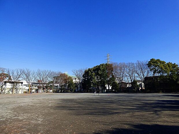 橘公園(約800m)