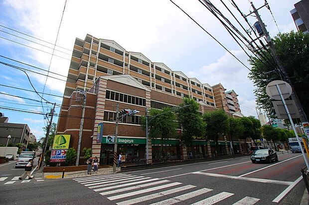 いなげや川崎宮前平駅前店(約800m)