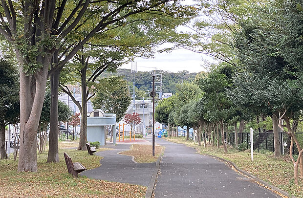 南生田1丁目公園(約40m)