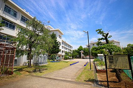 川崎市立白幡台小学校 390ｍ(徒歩5分)
