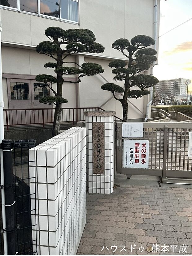 白坪小学校（約480m）
