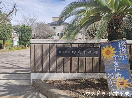 桜木中学校 750ｍ(徒歩10分)