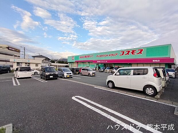 コスモス菊南店（約1,300m）