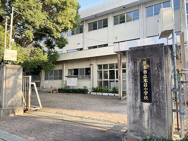 熊本市立本荘小学校(約550m)