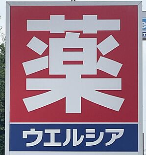 ウエルシア伊勢崎宮子店 約900m(徒歩約12分)