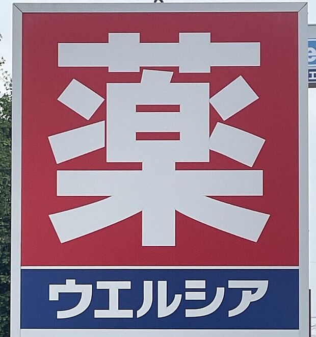 ウエルシア伊勢崎宮子店