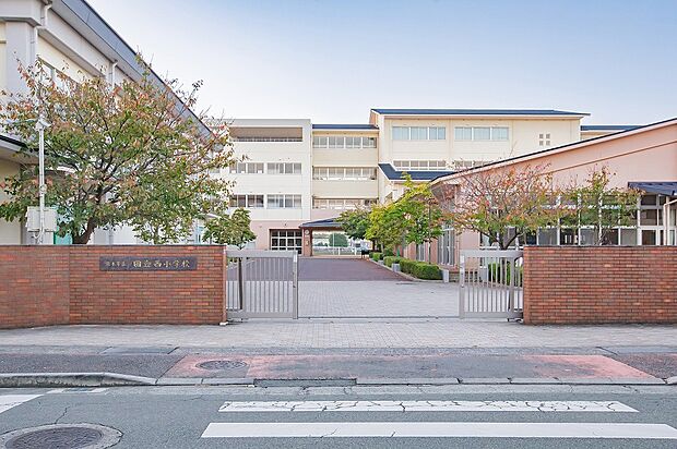 熊本市立田迎西小学校(約814m)