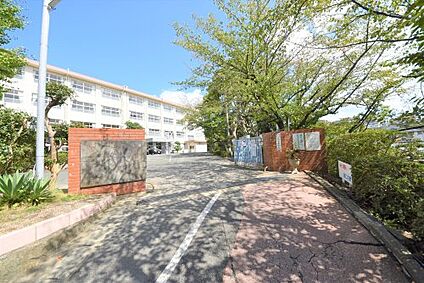 友泉中学校 徒歩790m