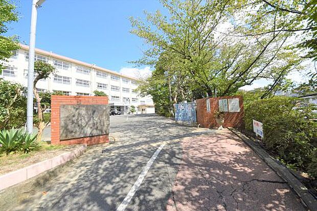 友泉中学校