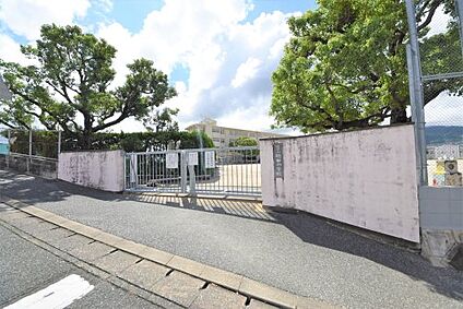 福岡市立鶴田小学校 徒歩599m
