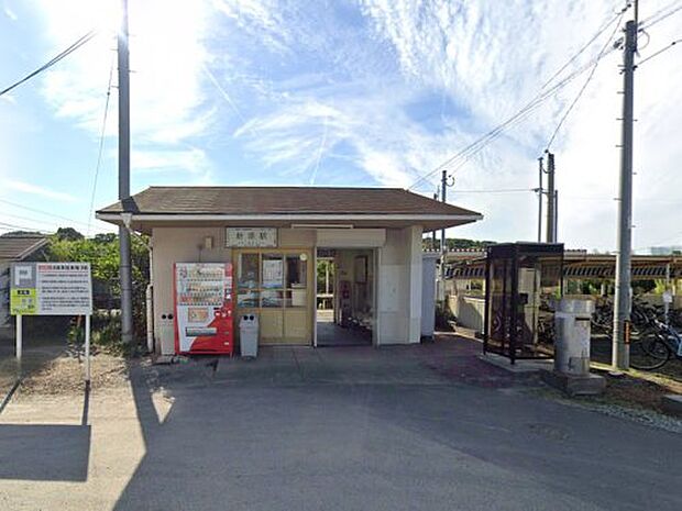新原