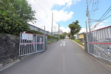 福岡市立花畑中学校 徒歩1204m