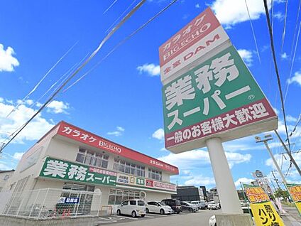 業務スーパー 向佐野店 徒歩1238m