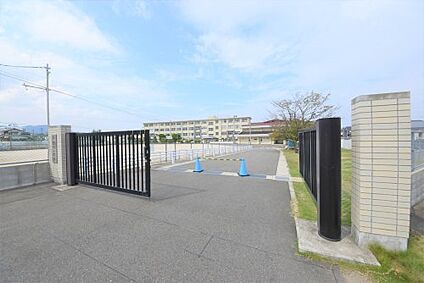 福岡市立田隈小学校 徒歩552m