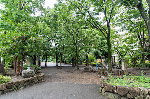 中河原公園（約500m）