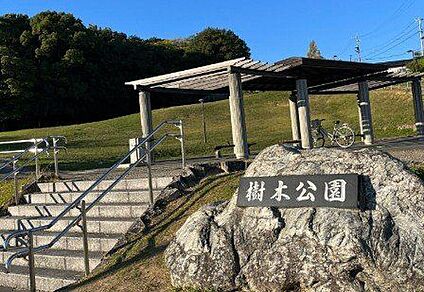 樹木公園 900m