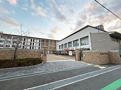 藤井寺中学校 800m(徒歩10分)