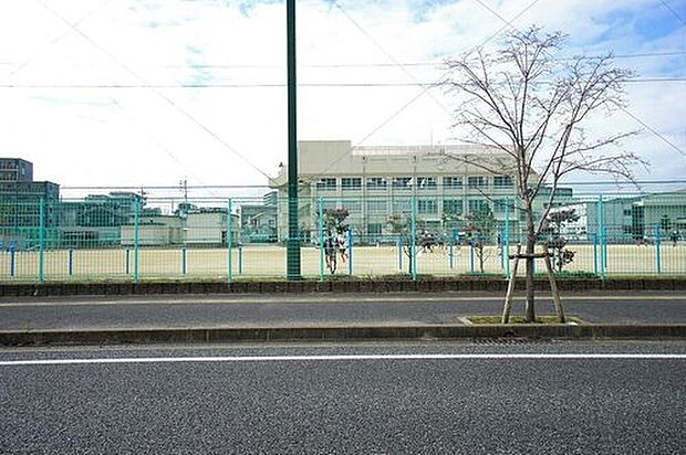 福岡市立玄洋小学校(約754m)