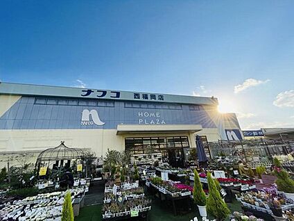 ホームプラザナフコ西福岡店 1516m(徒歩19分)