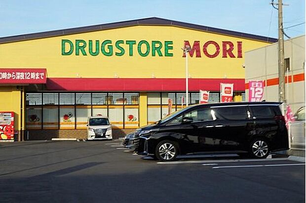 ドラッグストアモリ次郎丸店(約479m)