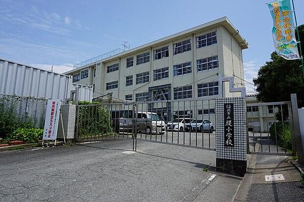 福岡市立堤小学校(約287m)
