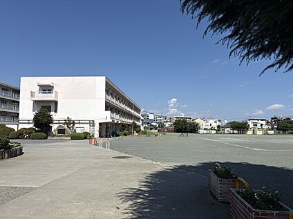 所沢市立南小学校 550m(徒歩7分)