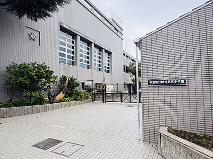 杉並区立桃井第五小学校 550ｍ(徒歩8分)