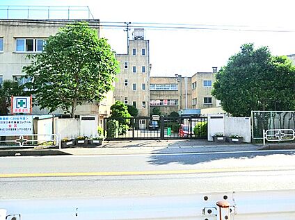 酒井根中学校 1000m