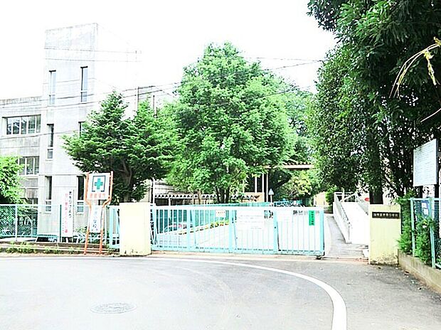 中原小学校(約850m)