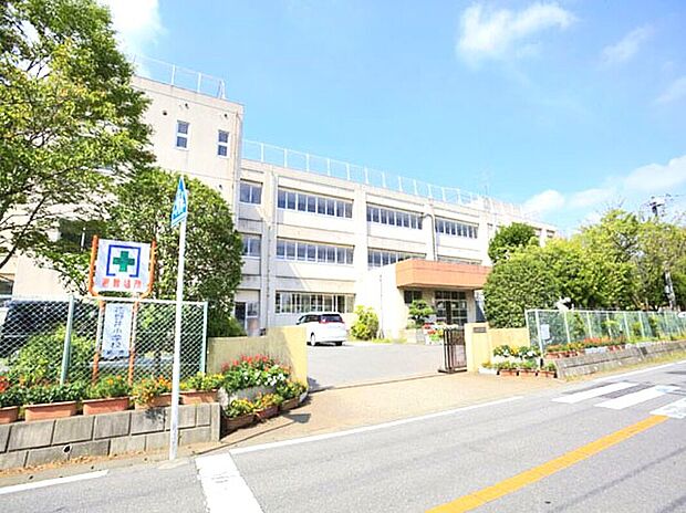 花野井小学校(約450m)