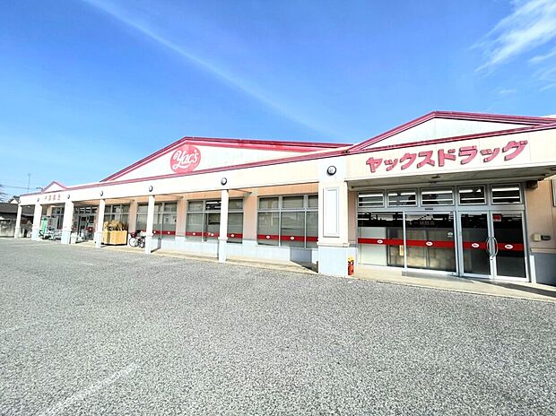ヤックスドラッグ 野田店(約220m)