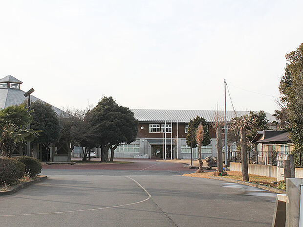 輝翔学園 つくば市立谷田部中学校(約2m)