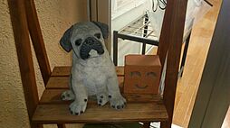 有限会社ジョウゲン開発