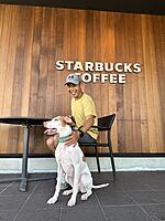 スタッフ