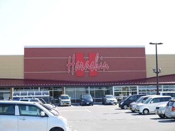 クレマチス_周辺_1