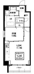 IWA3 1LDKの間取図画像