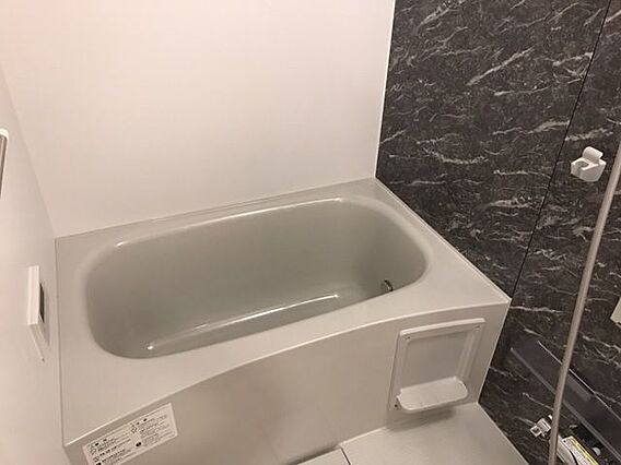 ピルナス_その他_0
