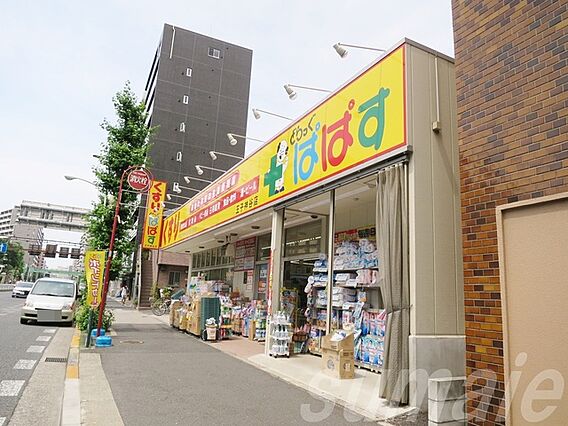 ディアレイシャス王子神谷_周辺_2