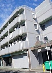 ラレックス城の山