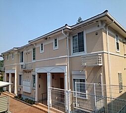 フラン・フィオーレB