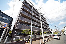 ポーロウニア千代田