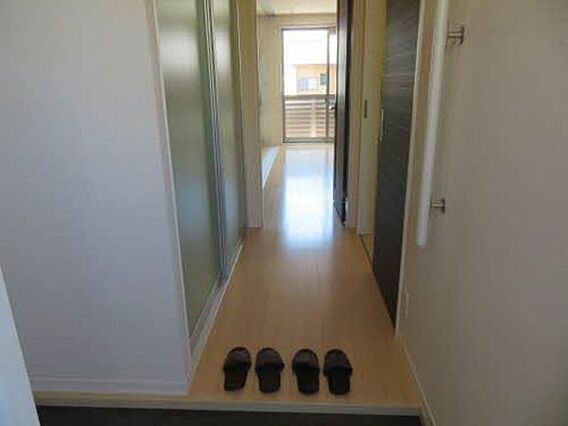 セノーテ_内装_5