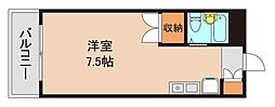 ヤングコート市川 5階ワンルームの間取り