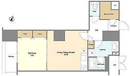 グランハイツ高田馬場 13階1LDKの間取り