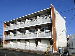 レオネクスト日野万願寺(55243)