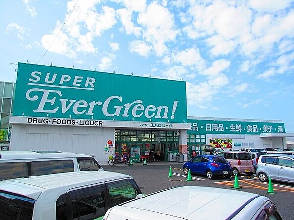 画像28:スーパーエバグリーン阪南店 606m