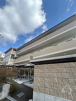 ホワイトハイム鏡石_その他_2