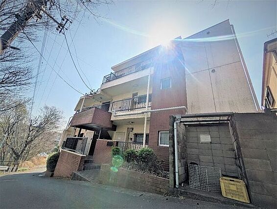 サンシャイン花沢_トップ画像