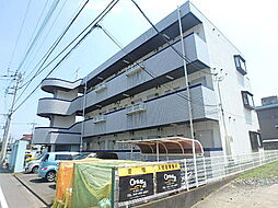 ラフォーレインホコン